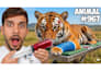 design professional youtube thumbnails in 24 hours